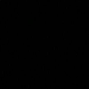 Meet your Posher, Sasha